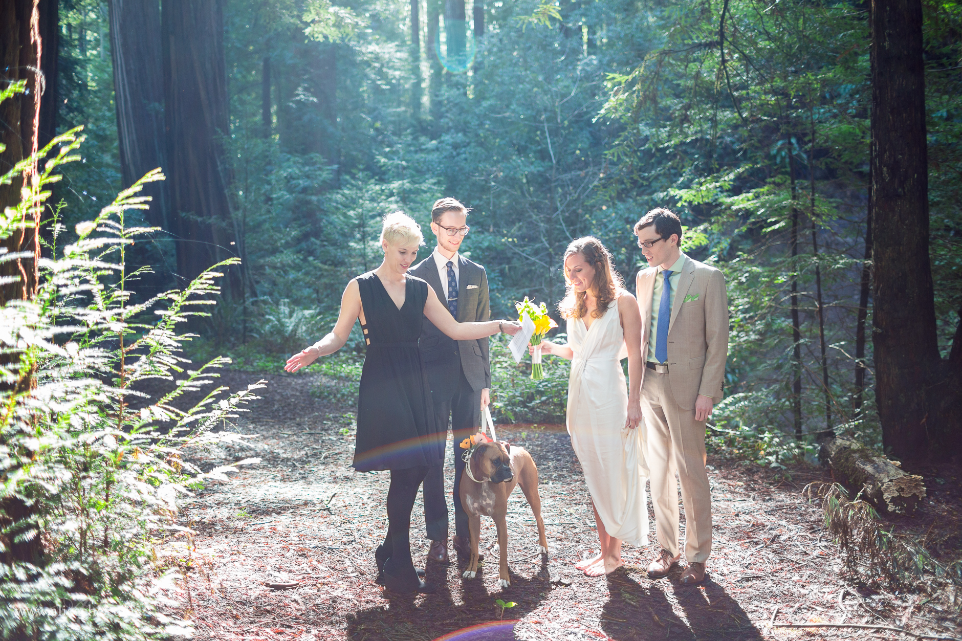 Charming Redwoods Elopement in Woodside