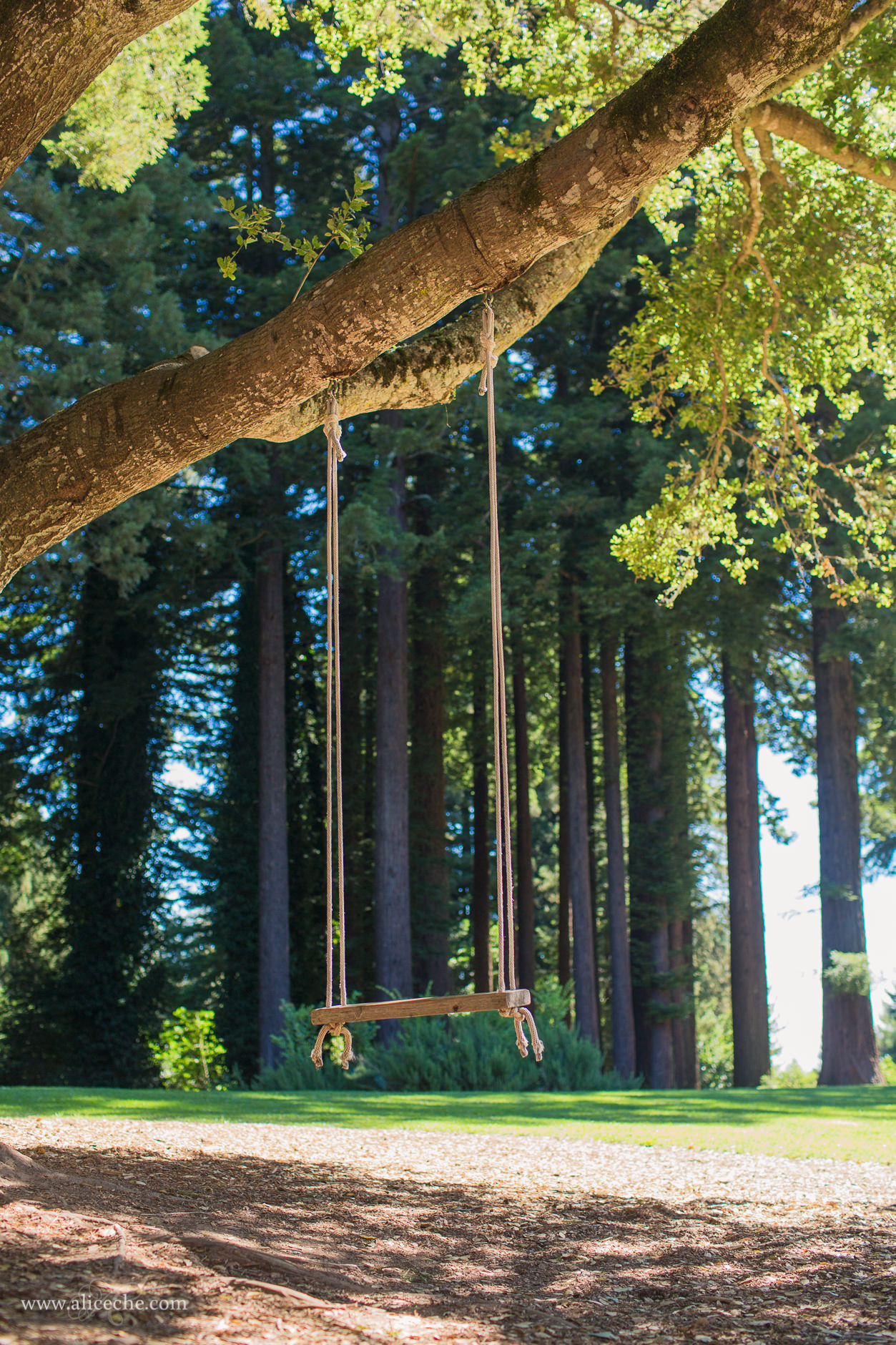 nigerian girl naked pics swinging under the oak tree