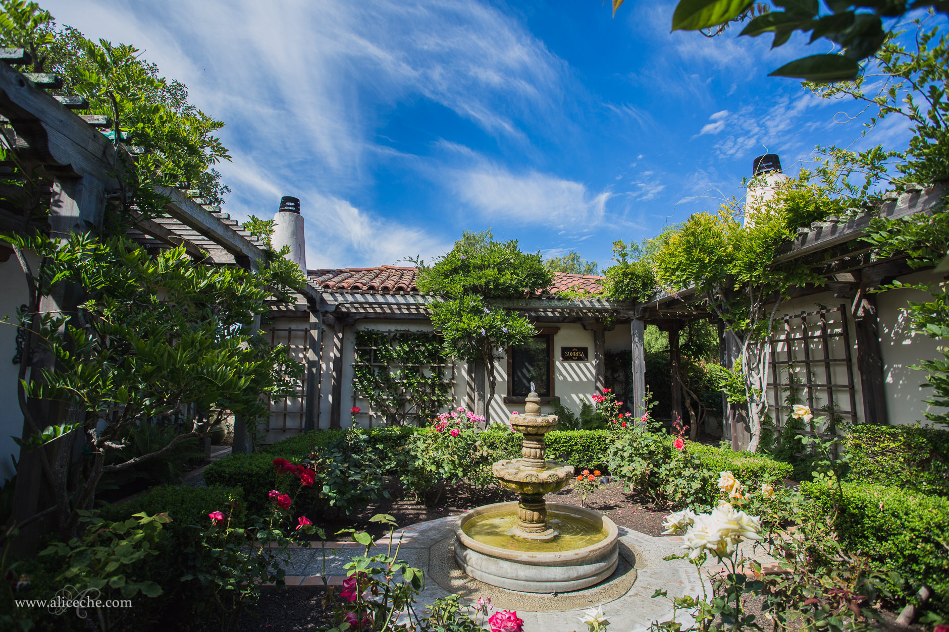 The Casitas Estate San Luis Obispo Wedding Venue The Casitas Estate San Luis Obispo Wedding Venue Lush Rose Garden