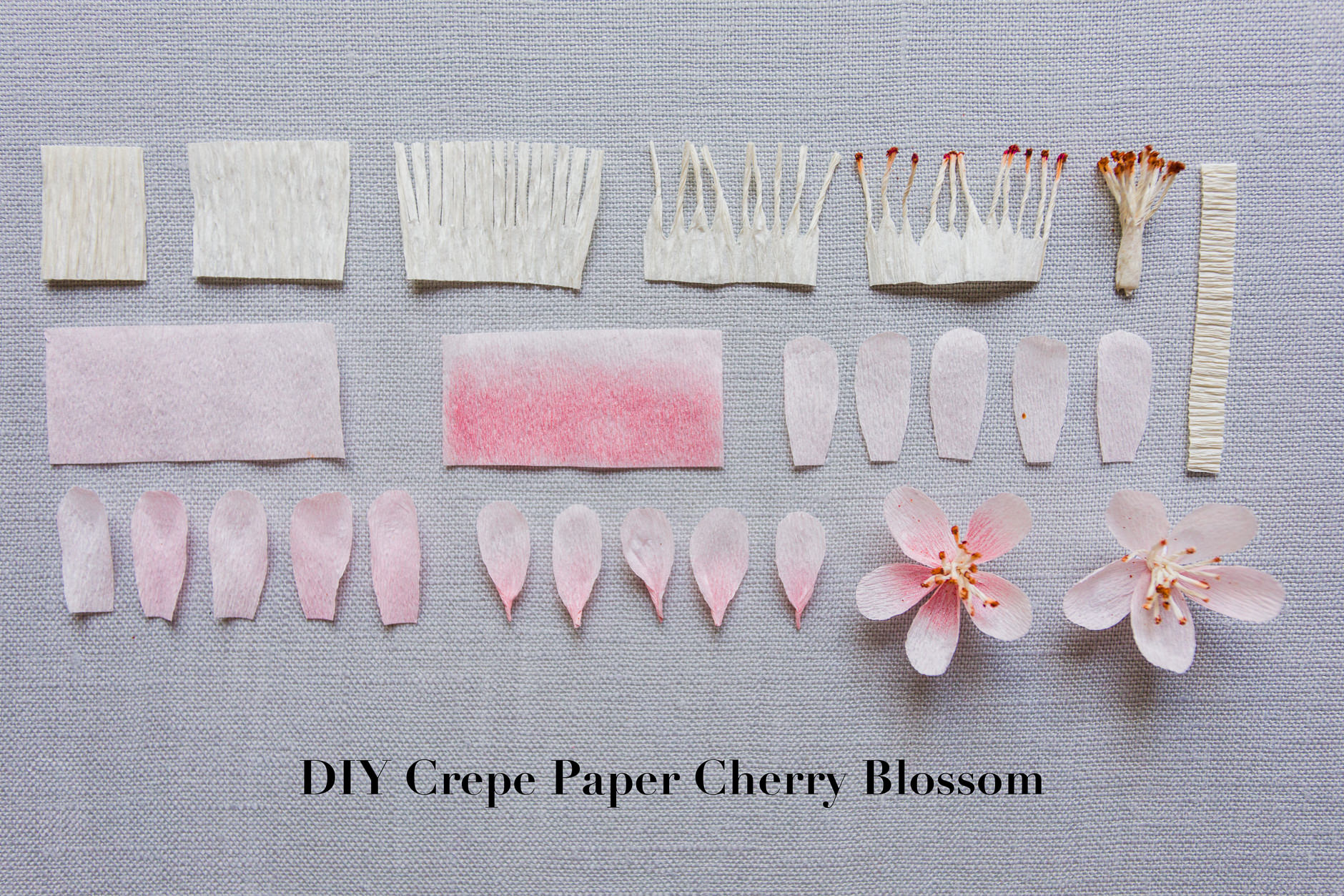 DIY Crepe Paper Cherry Blossom Tutorial Sakura