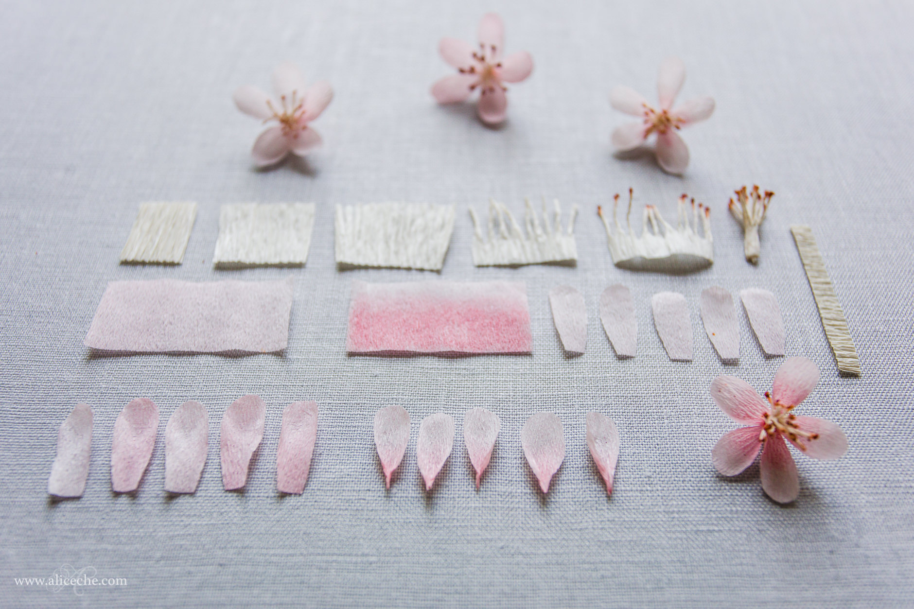 DIY Crepe Paper Cherry Blossom Tutorial Sakura