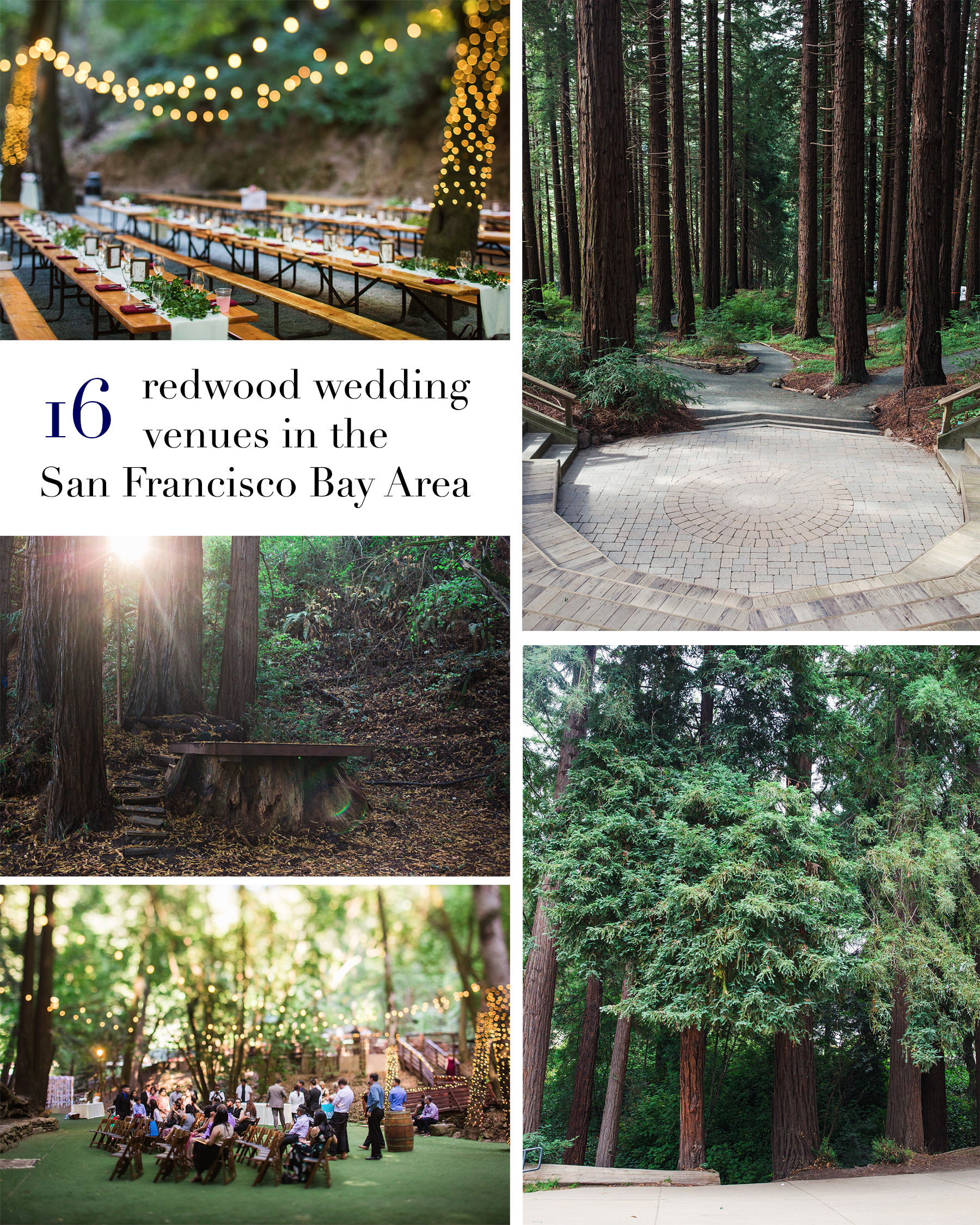 16 Amazing Wedding Venues With Redwoods In The San Francisco Bay Area 16 Amazing Wedding Venues With Redwoods In The San Francisco Bay Area